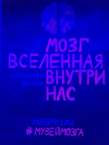 Музей мозга
