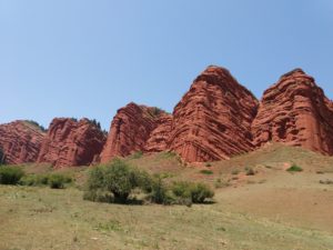 7 быков, киргизия
