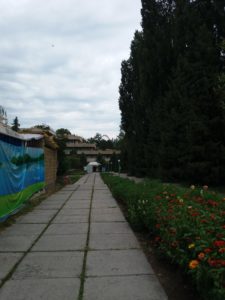 территория пансионата золотые пески